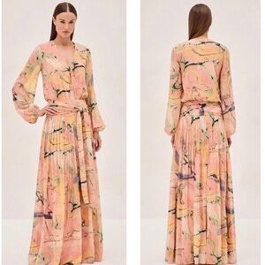 Alexis Diane Watercolor Pleated Maxi Dress NWT